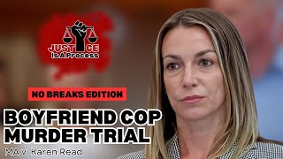 Full Courtroom: Expert Fall Theory & Glass Evidence – Karen Read Trial Day 20 (No Breaks Edition)