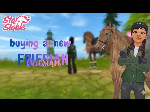 Buying A New Friesian! *my personal opinion*