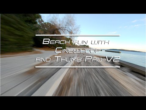 Beach fun with Cinewhoop and Thumb Pro V2 (Gyroflow stabilized)