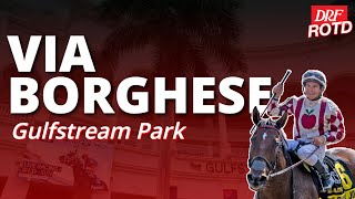 DRF Wednesday ROTD | Via Borghese Stakes @ Gulfstream | December 24, 2025