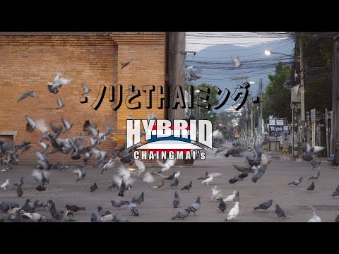 【MV】ノリとTHAIミング / HYBRID CHAINGMAI's