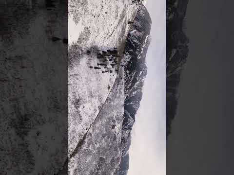 Some shots deserve to be seen in full HD #cinematic #videography #dji #utah #drone