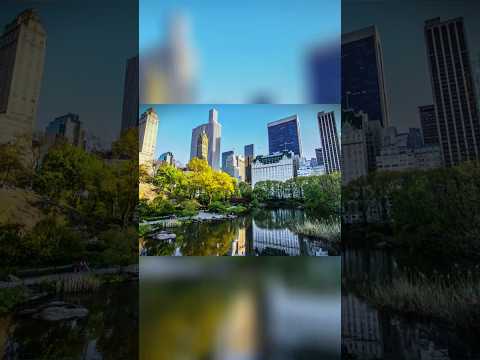 Central Park's Hidden Gems | Top 5 Places To Visit In New York City | Travel Trailer 4K
