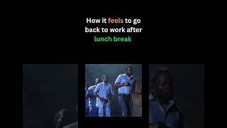 back to work after lunch break 🙃 #softwareengineer #subscribe #softwareengineerlife