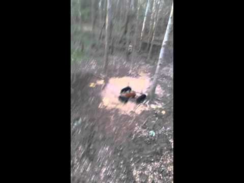 Boar kill PSE Decree 2-17-16