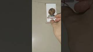 Easy Robot #robot #experiment #robottoy #diy #shortvideo #robotkit #bathroomaccessory #diyrobot