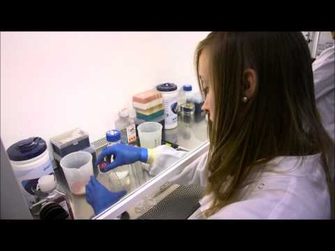 Knowledge Transfer Partnership (KTP) with JRI Orthopaedics