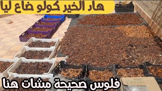 مرحبا بالجميع 0606303044 تمور المجهول متنوعة وجديدة مع الخلط .