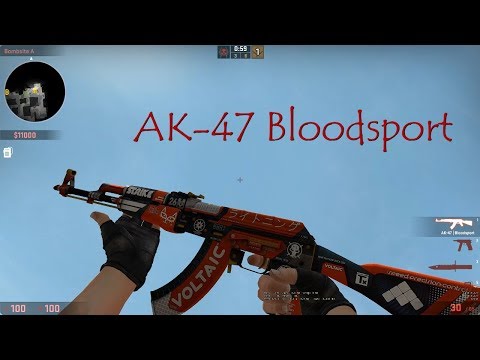 CSGO AK-47 Bloodsport Skin Showcase
