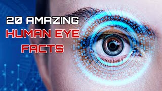 20 AMAZING HUMAN EYE FACTS - That Will Blow Your Mind ( Facts To Know )