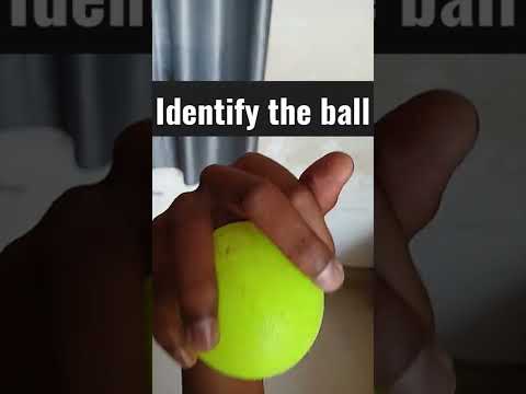 Identify the ball#shorts