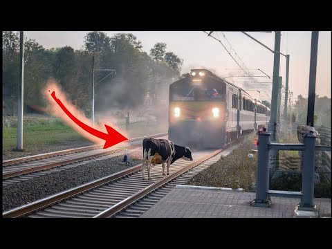 Most Unbelievable Train Crashes Moments Caught on Camera - Best Of Month #8