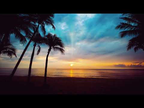 Relax Chill Music On The Tropical Beach | Beautiful Sunset On The Island