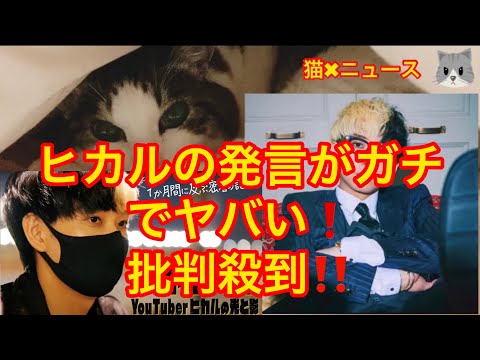 人気YouTuberヒカルがまさかの発言に批判殺到❗️　ヒカルは悪くない(ヒカル　お金　金持ちユーチューバー　ヒカルテレビ　アンチ　誹謗中傷　炎上　トレンド　バズり　猫✖︎ニュース)#312