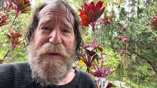 2025 was a Record Breaking Year for the Planet with Renewable Energy!