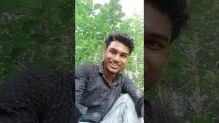 Bahut khatarnak Kabutar hai yaar 🥹😂#viralvideo #funny #ytshorts