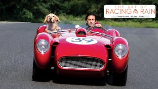 HIGH JULY 2025 | Movies to Inspire Young Minds | The Art of Racing in the Rain | Brainfeed TV