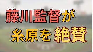 【監督が糸原を絶賛】糸原が優秀すぎる！！　勝利へ導く一打を放ち、勝利へ貢献！
