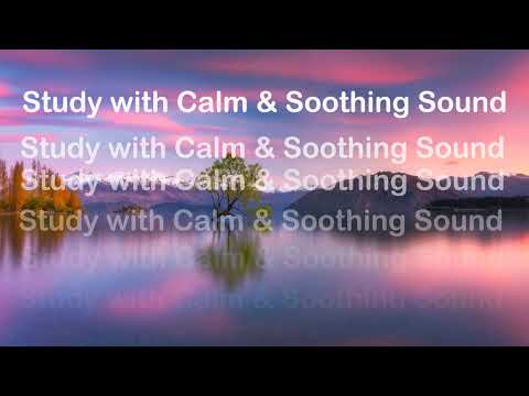 Study with  calm & soothing sound Live Stream