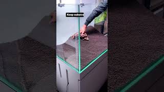 3 Tips for a PROFESSIONAL Aquascape #shorts