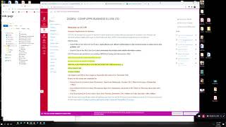 1Common Javascript Issues