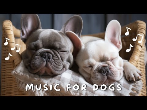 Healing Music for Dogs 💖 | Separation Anxiety Relaxing Music | Calming Music I Sleeping Music