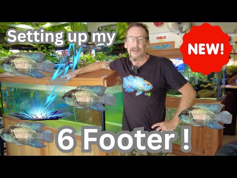 Setting Up my NEW 6 Footer !