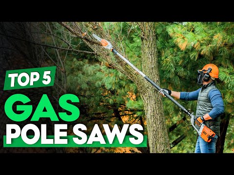 Best Gas Pole Saws 2024 to use your Backyards & Gardens!