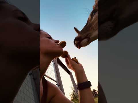 “Just a Girl and Her Buck… Sharing Snacks”