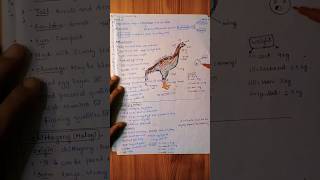 3 Weird but Effective Study Hacks🎯📚#studyhacks #study #shorts #yt