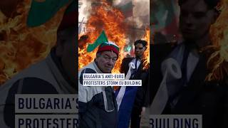 Bulgaria's anti-Euro protesters storm EU building