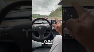 Experience the Magic of Tesla's Basic Autopilot! 🚗✨