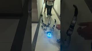 Humanoid Robot Testing Fail 🤖 | AI Experiment Gone Wrong #techexperiment #robotfail #AIrobot