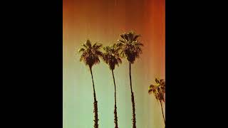 (FREE) Veigh x Wiu x Alee Type Beat ~ AFROBEAT ~ "Maldivas"