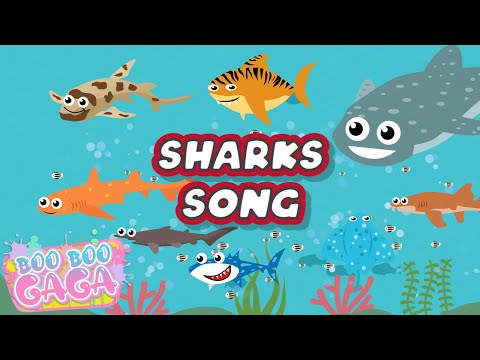 Shark Friends | Baby Shark | Shark Song for Kids [by Boo Boo Gaga] #booboogaga