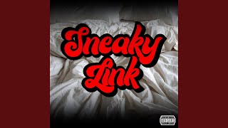 Sneaky Link