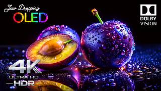 JAW-DROPPING OLED Demo | Dolby Vision 4K HDR 240FPS Ultra HD (4K TV Test)