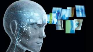 What Is Consciousness?