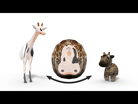 [SIGGRAPH Asia 2019] Teaser: Distortion-Minimizing Injective Maps Between Surfaces