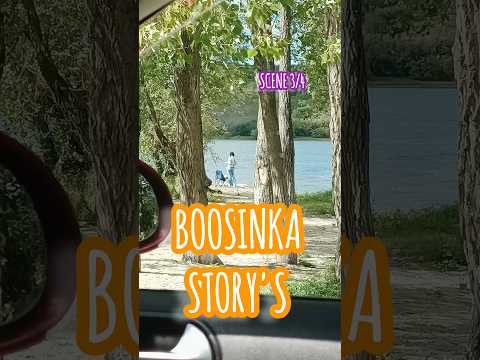 Художник BooSinKa и ее питомцы, часть 3 #magic #art #creator