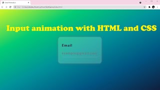 Input animation with HTML and CSS