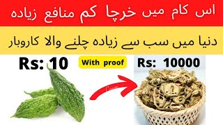 bitter guard business | new business ideas 2022 | business ideas in pakistan #earningfromhome