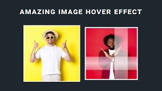 Amazing Image Hover Effect Animation in pure CSS | Hover Effect | Animation #cssimages #DeveloperHub