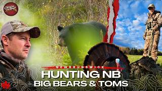 Hunting BIG Black Bears & BIG Toms | Canada in the Rough