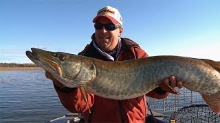 Musky Fishing Tips For New Electronics