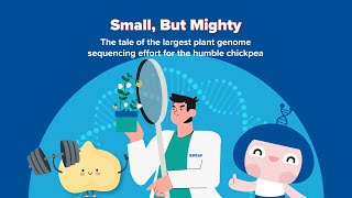 BGI Draws up a Complete Picture of Genetic Variation within Chickpeas | BGI Gene Test