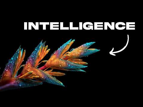 The Intelligence of Flowers