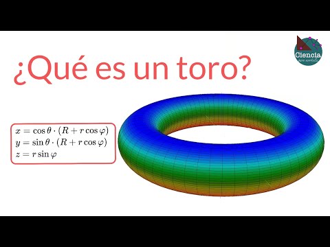 ¿Qué es un toro?