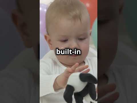 5 Amazing Facts About Owning a Panda as a Pet!