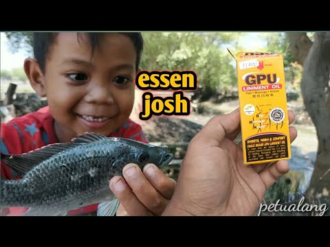 Mancing nila pakai essen minyak GPU || bocah mancing viral mirip Adit bocil bocah ngapak gokil